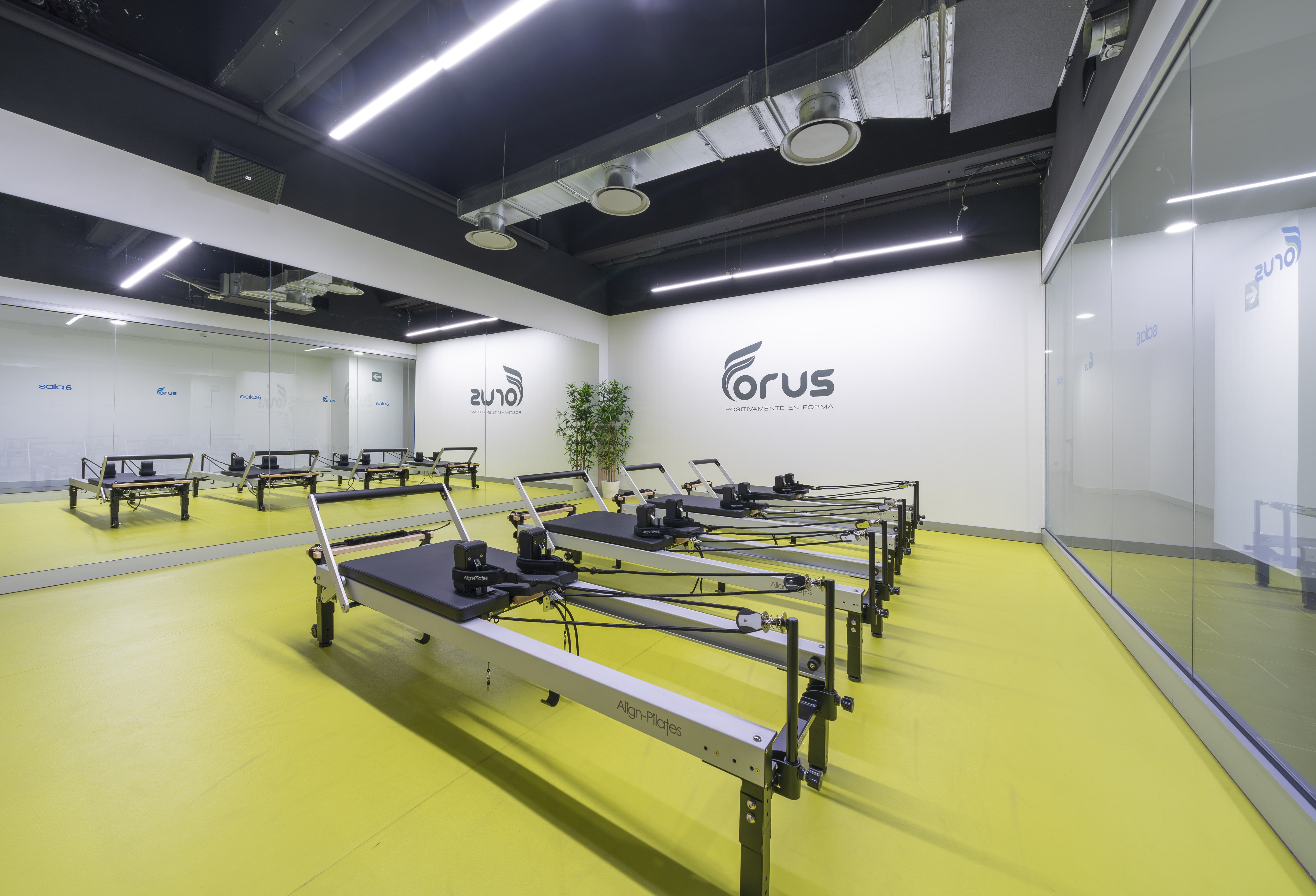 Embajadores_Pilates_6