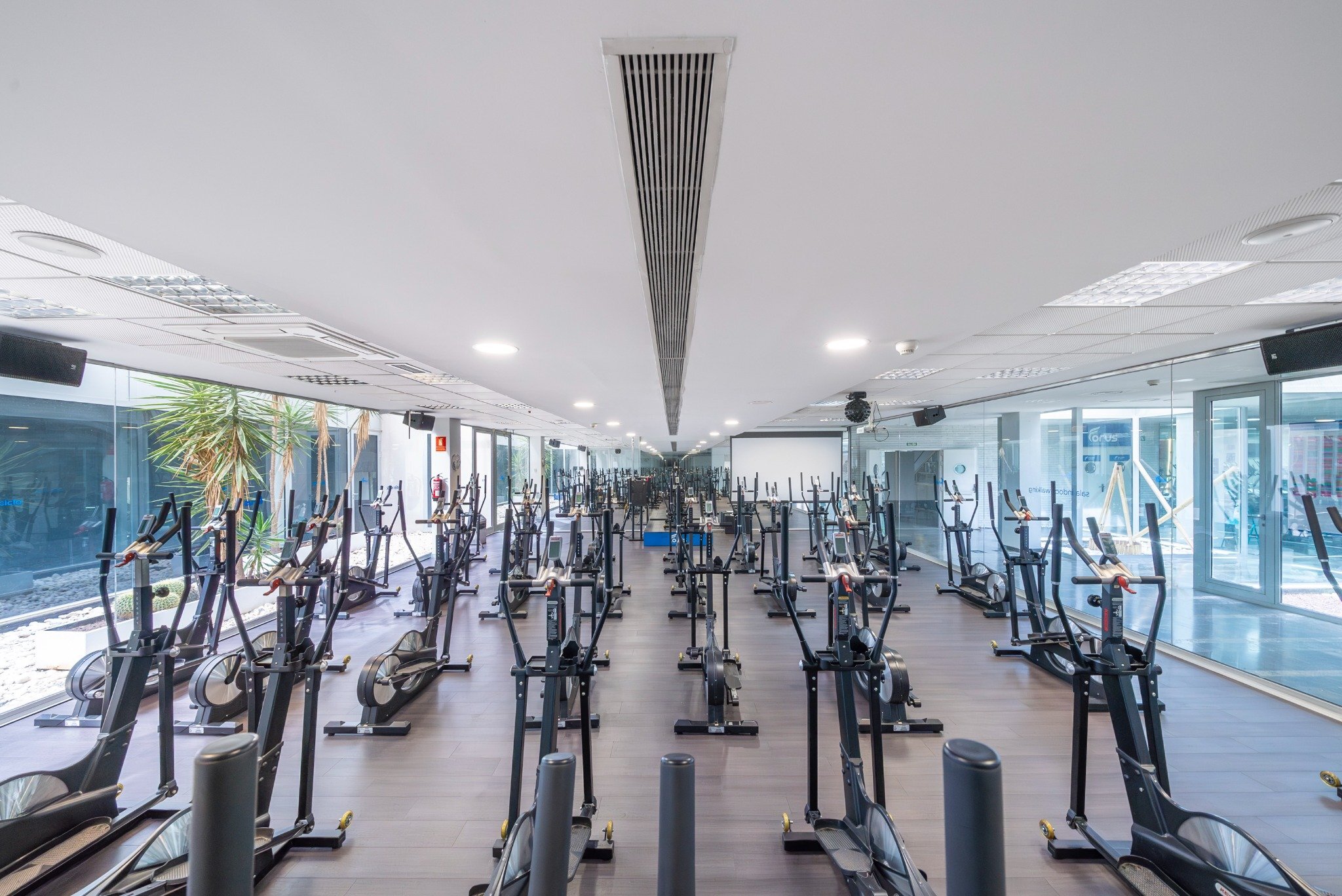 2-murcia-flota-ciclo